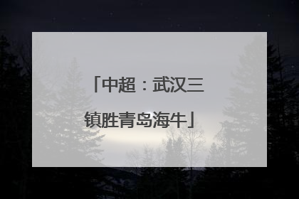 中超：武汉三镇胜青岛海牛