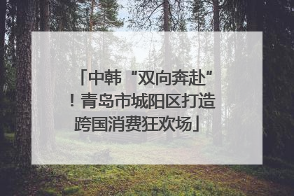 中韩“双向奔赴”！青岛市城阳区打造跨国消费狂欢场