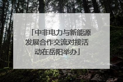 中非电力与新能源发展合作交流对接活动在岳阳举办