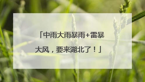 中雨大雨暴雨+雷暴大风，要来湖北了！