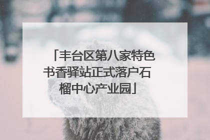 丰台区第八家特色书香驿站正式落户石榴中心产业园