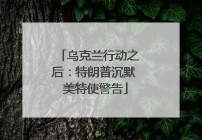 乌克兰行动之后：特朗普沉默 美特使警告