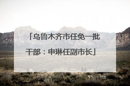乌鲁木齐市任免一批干部：申琳任副市长