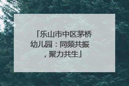 乐山市中区茅桥幼儿园：同频共振，聚力共生