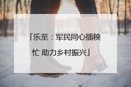 乐至：军民同心插秧忙 助力乡村振兴