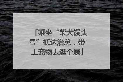 乘坐“柴犬馒头号”抵达治愈，带上宠物去逛个展