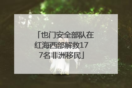 也门安全部队在红海西部解救177名非洲移民