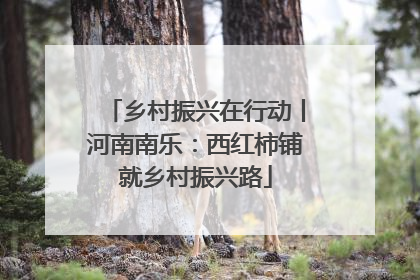 乡村振兴在行动丨河南南乐：西红柿铺就乡村振兴路