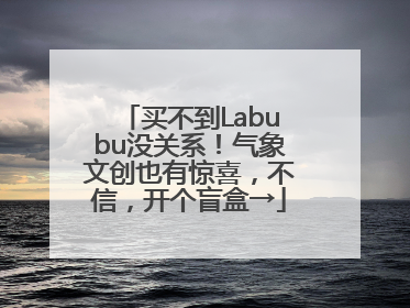 买不到Labubu没关系！气象文创也有惊喜，不信，开个盲盒→