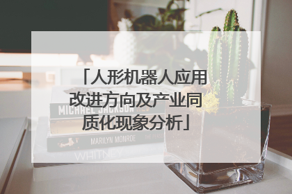 人形机器人应用改进方向及产业同质化现象分析