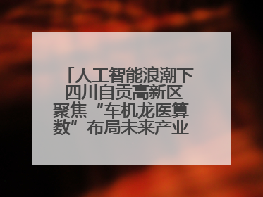 人工智能浪潮下 四川自贡高新区聚焦“车机龙医算数”布局未来产业丨美好生活有“盐”味