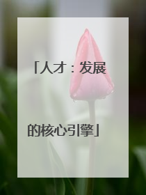 人才：发展的核心引擎
