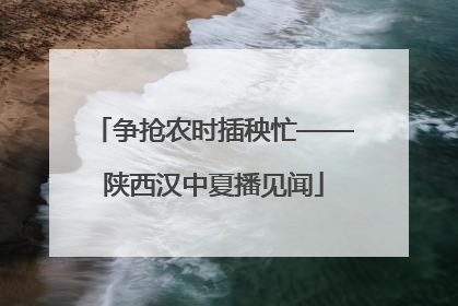 争抢农时插秧忙——陕西汉中夏播见闻