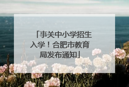 事关中小学招生入学！合肥市教育局发布通知