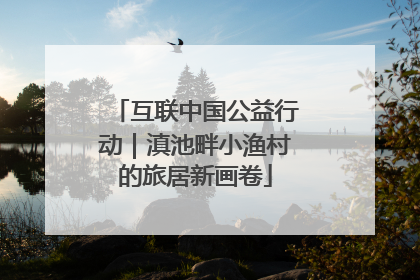 互联中国公益行动｜滇池畔小渔村的旅居新画卷