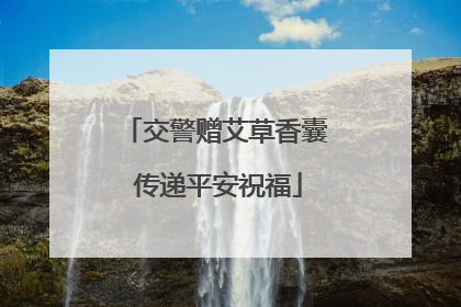 交警赠艾草香囊 传递平安祝福