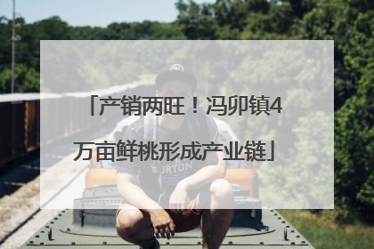 产销两旺！冯卯镇4万亩鲜桃形成产业链