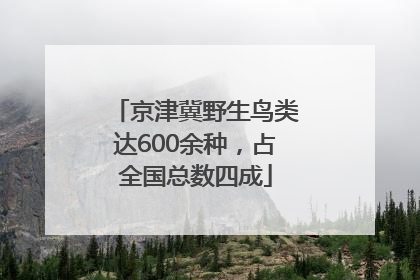 京津冀野生鸟类达600余种，占全国总数四成