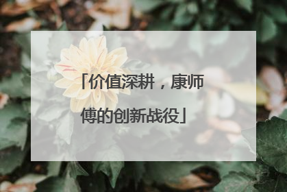 价值深耕，康师傅的创新战役