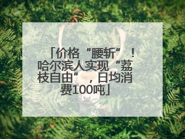 价格“腰斩”！哈尔滨人实现“荔枝自由”，日均消费100吨