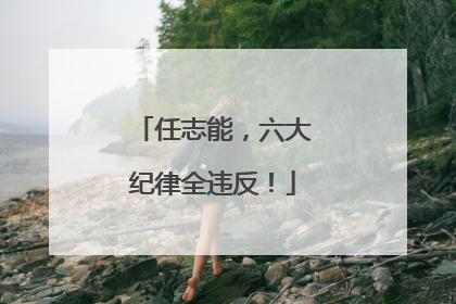 任志能，六大纪律全违反！