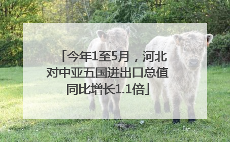 今年1至5月，河北对中亚五国进出口总值同比增长1.1倍