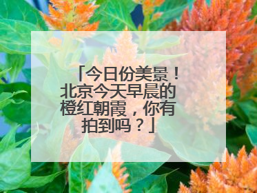 今日份美景！北京今天早晨的橙红朝霞，你有拍到吗？