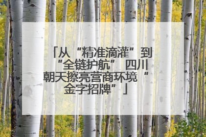 从“精准滴灌”到“全链护航” 四川朝天擦亮营商环境“金字招牌”