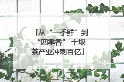 从“一季鲜”到“四季香” 十堰茶产业冲刺百亿