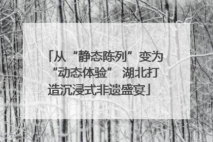 从“静态陈列”变为“动态体验” 湖北打造沉浸式非遗盛宴