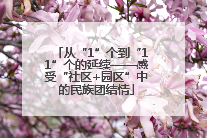 从“1”个到“11”个的延续——感受“社区+园区”中的民族团结情