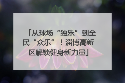 从球场“独乐”到全民“众乐”！淄博高新区解锁健身新力量