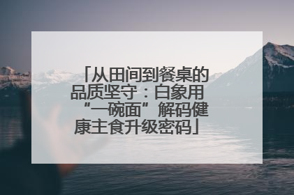 从田间到餐桌的品质坚守：白象用“一碗面”解码健康主食升级密码
