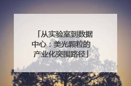 从实验室到数据中心：美光颗粒的产业化突围路径