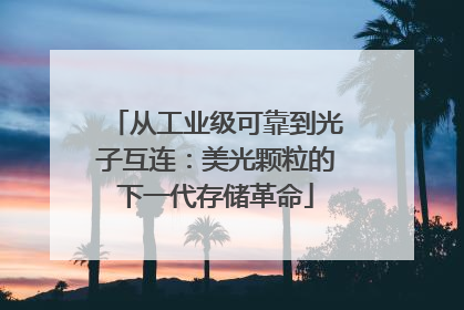 从工业级可靠到光子互连：美光颗粒的下一代存储革命