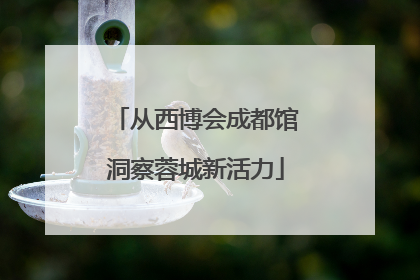 从西博会成都馆洞察蓉城新活力