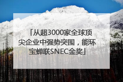 从超3000家全球顶尖企业中强势突围，能环宝蝉联SNEC金奖