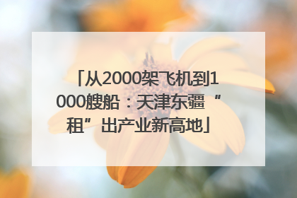 从2000架飞机到1000艘船：天津东疆“租”出产业新高地