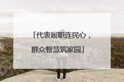 代表履职连民心，群众智慧筑家园