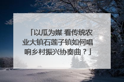 以瓜为媒 看传统农业大镇石莲子镇如何唱响乡村振兴协奏曲？