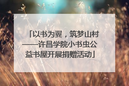 以书为翼，筑梦山村——许昌学院小书虫公益书屋开展捐赠活动