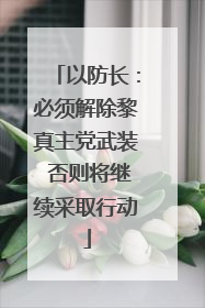 以防长：必须解除黎真主党武装 否则将继续采取行动