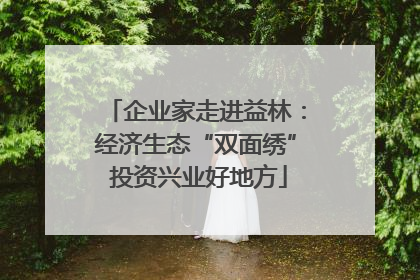 企业家走进益林：经济生态“双面绣” 投资兴业好地方