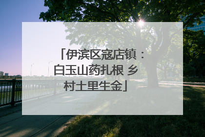 伊滨区寇店镇：白玉山药扎根 乡村土里生金