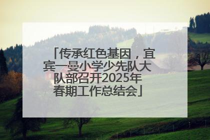 传承红色基因，宜宾一曼小学少先队大队部召开2025年春期工作总结会