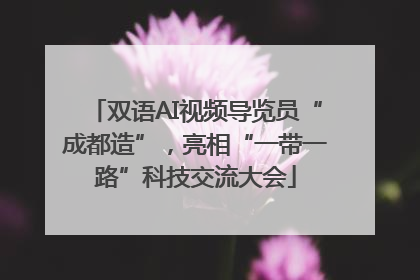 双语AI视频导览员“成都造”，亮相“一带一路”科技交流大会