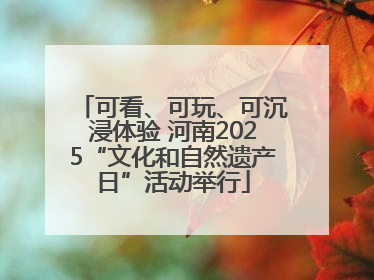 可看、可玩、可沉浸体验 河南2025“文化和自然遗产日”活动举行