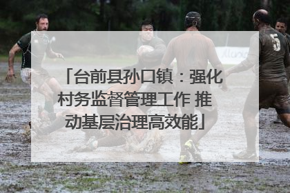 台前县孙口镇：强化村务监督管理工作 推动基层治理高效能