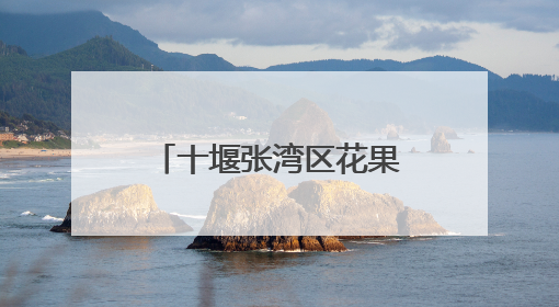 十堰张湾区花果街道守护文明河流 共绘生态画卷
