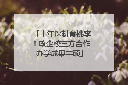 十年深耕育桃李！政企校三方合作办学成果丰硕
